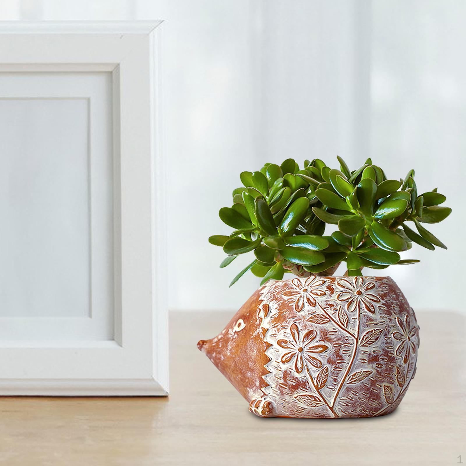 

Planter Cactus for Outdoor Indoor Decoration Hedgehog