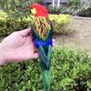 Animal Model Feather Simulation Parrot Statue Colorful Handmade Macaw Statue Not Fade Realistic Birds Model Decoration Yard