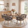 Luxurious, Modern Accent Chair, Vanity Chair with Metal Frame for Bedroom, Living Room, Dining Room, Set of 2