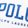 Polo Ralph Lauren Color Blocked Polo Collar Letter Embroidered Short Sleeve T-Shirt Men T-Shirt 710694466-004