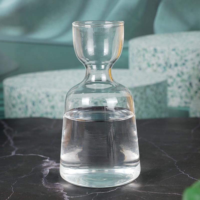 Transparent High Borosilicate Glass Hydroponic Avocado Seed Growing Vase