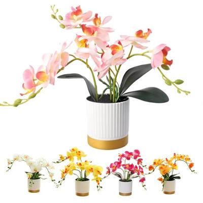 Phalaenopsis Flower Artificial Flowers Potted Plant Fake Phalaenopsis New Bonsai Orchid