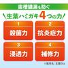 Dentifrice médicinal Fresh Leaf EX pour prévenir la pyorrhée, saveur herbes japonaises et chinoises, 100 g (Shoyou EX) [Quasi-drogue]