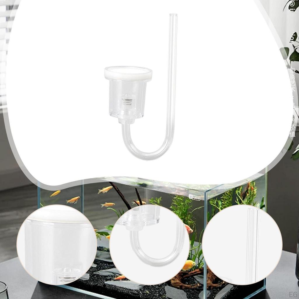 Acrylic Accessories Lightweight Aquarium CO2 System for Aquatic Plants Desk Photo Office