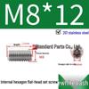 201 Stainless Steel Headless Set Screw - Flat End Socket Screw