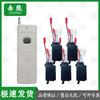Wireless Electronic Ignition System