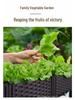 Extra Large Plastic Raised Vegetable & Flower Planter for Balcony/Courtyard