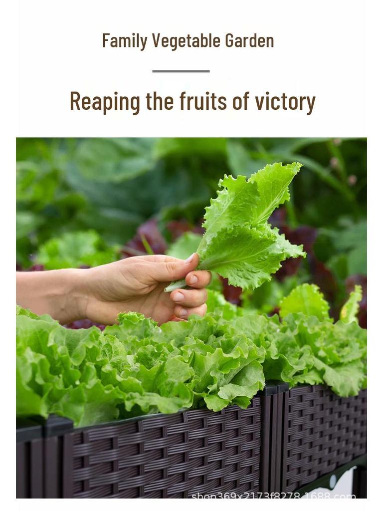 Extra Large Plastic Raised Vegetable & Flower Planter for Balcony/Courtyard