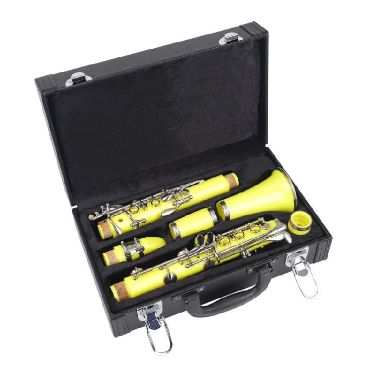 Economical Clarinet Case for Student Use with Robust Construction and Comfortable Handling During School Music Classes and Practice