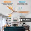 Remote Controlled Ceiling Fan with LED Light for Living Room, Restaurant, or Study