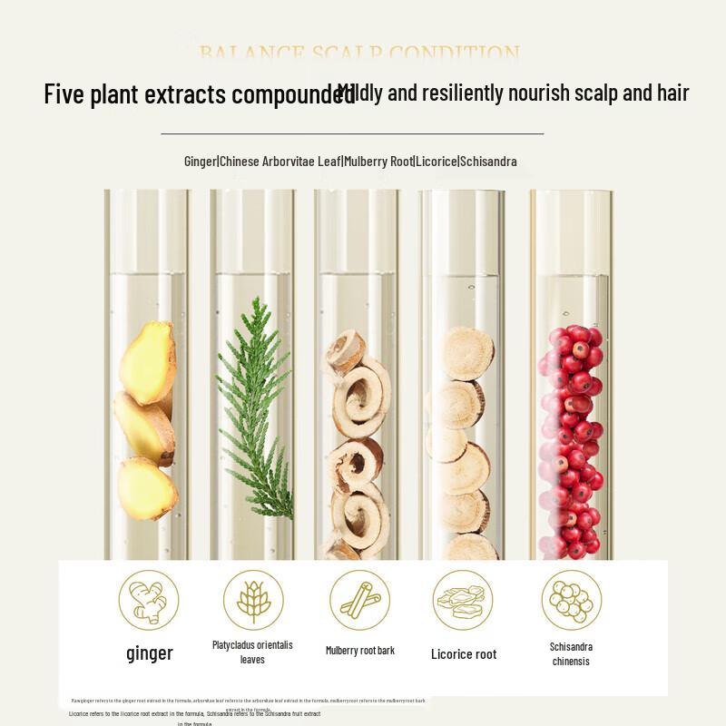 Ziyuan Ginger Anti-Hair Loss Shampoo Set