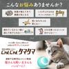 Uchinoko Electric Spherical Automatic Cat Teaser Meow Meow Tama Tama for Cats USB Rechargeable Designed To Prevent Ingestion Stress Relief Domestic