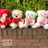 Day Bouquet Bear Plush Toy with Artificial W230 X H250 X Lulu's Valentine's Full-Lille Flowers, Size D200mm, Rainbow, Lulu's-0532