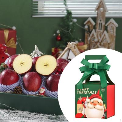 Christmas Gift Box Cookie Boxes Handheld Decorative Party Supplies Portable Goodies for Festival
