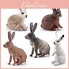 Simulated White Gray Brown Wild Rabbit Model Desktop Ornament For Kids Education