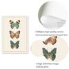 Beige Sépia Moderne Victorien Papillon Vintage Impressions d'Affiche Insecte Éducation Art Mural Image Peinture sur Toile Décor Chambre d'Enfant