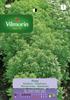 Basil Seed Pesto