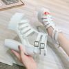 2025 Spring Summer Nightclubs High 15cm Dance Catwalk Thick Heel Thick Sole Waterproof Table Non-slip Sandals Female ZYW-831-1