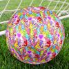 Care Bears Print Size 5 Soccer Ball, Standard Match Football for Sports Game and Team Practice, Ideal Gift for Soccer Fans