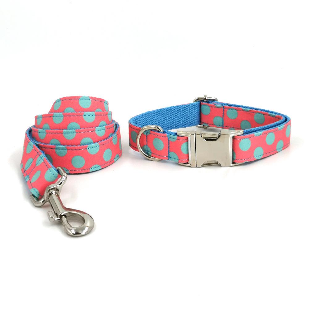 INS Style Engraved Dog Collar and Leash Set XS