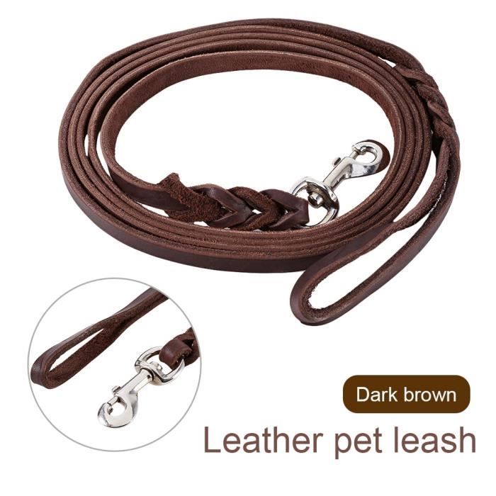 Laisse de dressage de chien pour animaux de compagnie laisse en cuir durable longue marche pour chien pour grands chiens de taille