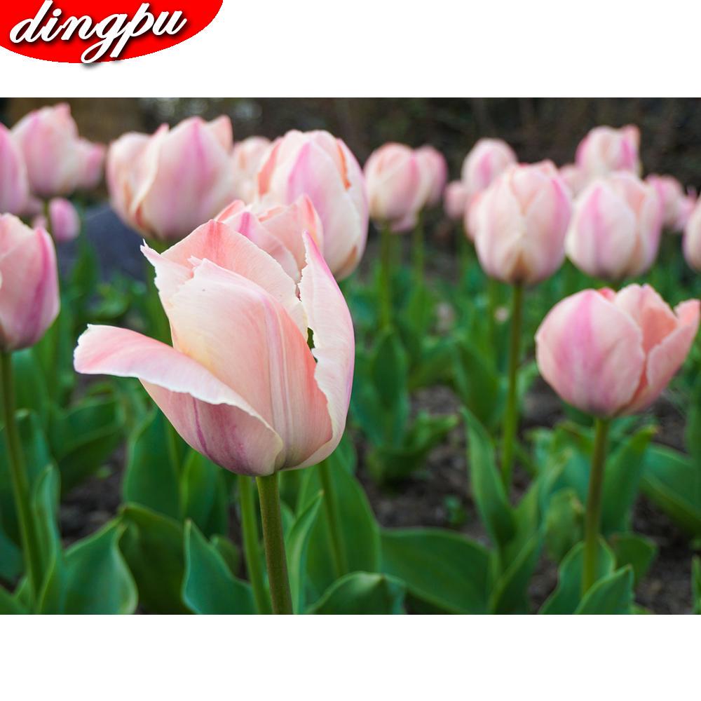 5D DIY diamant schilderij volledige ronde klaproos bloem kit diamant borduurwerk mozaïek decoraties thuis