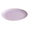 KINTO Atelier Tete 280mm Plate, Lilac,