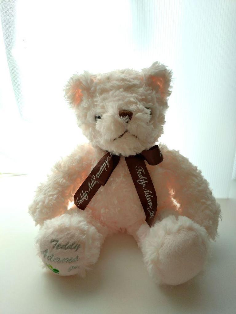 [USED] Teddy Adams Pink Teddy Bear