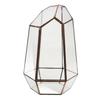 Clear Glass Geometric Terrarium Tabletop Planter Irregular Plant Box Succulent Holder for Indoor Garden