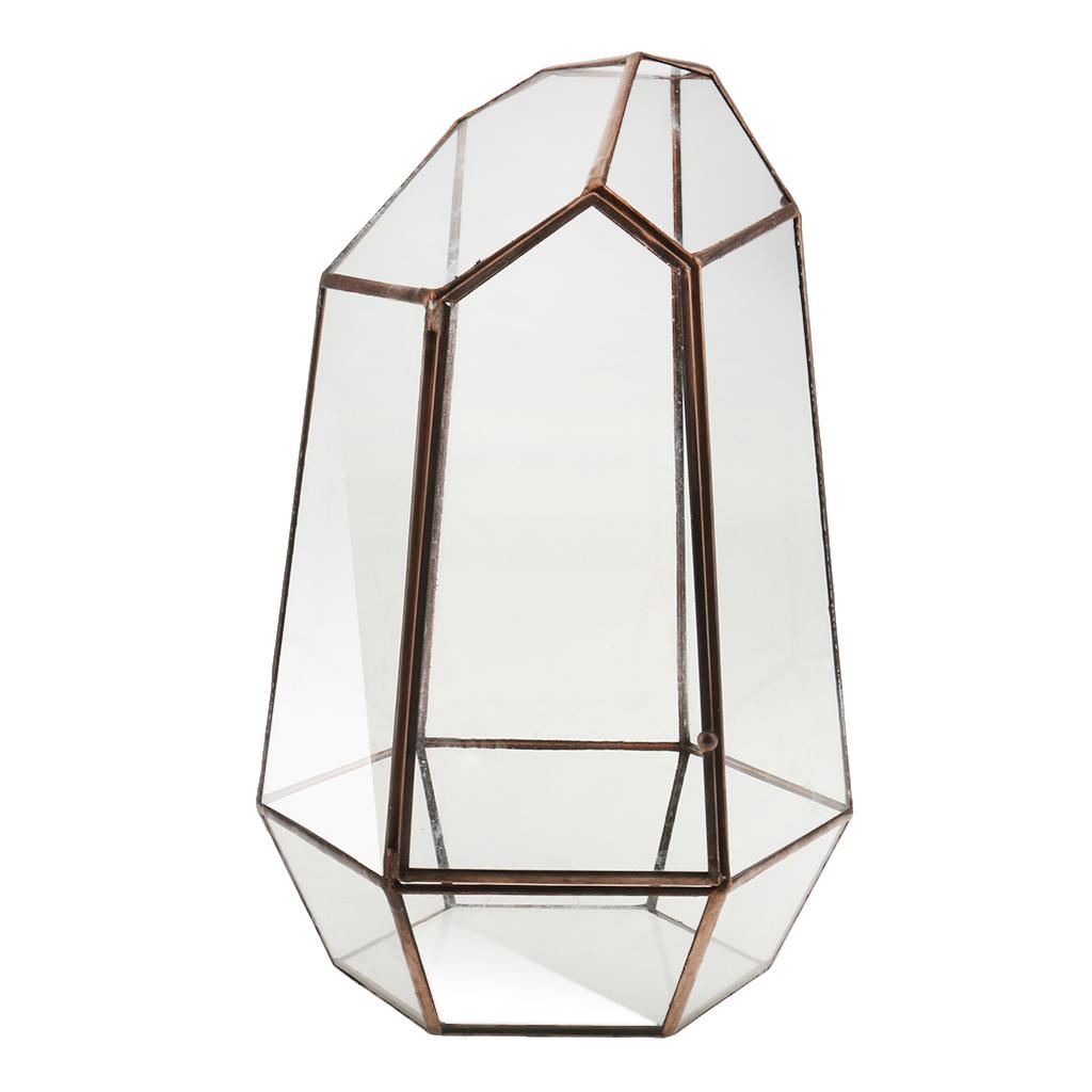 Clear Glass Geometric Terrarium Tabletop Planter Irregular Plant Box Succulent Holder for Indoor Garden
