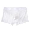 Men's Seamless Ice Silk Breathable Boxer Briefs - Lightweight, Comfortable Summer Underwear with Waistband