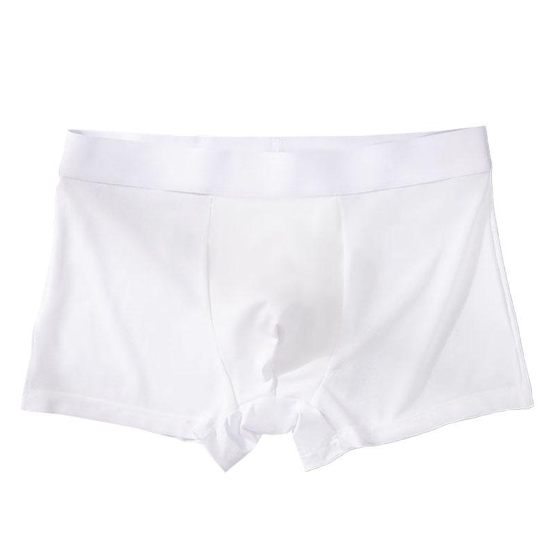 Men's Seamless Ice Silk Breathable Boxer Briefs - Lightweight, Comfortable Summer Underwear with Waistband