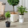 Contemporary Flower Pot Plant with Drainage Holes Decorative Planter Matching Saucer Modern for Indoor Outdoor Use Pothos Aloe
