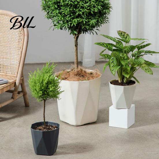 Contemporary Flower Pot Plant with Drainage Holes Decorative Planter Matching Saucer Modern for Indoor Outdoor Use Pothos Aloe