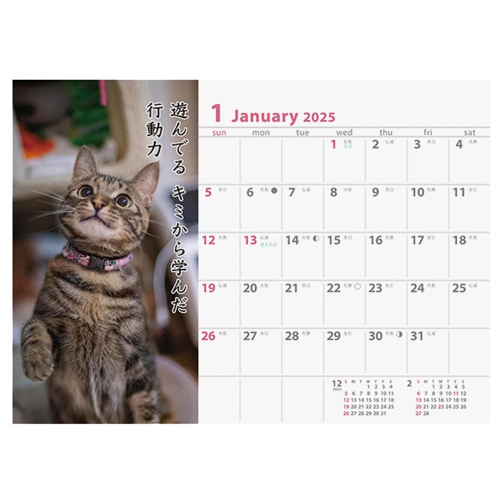 2025 Cat Senryu (Spațiul de lucru) Calendar Nr.030