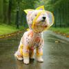 Spring/Summer Transparent Waterproof Raincoat for Small to Medium Dogs, Rainbow Design - Ideal for Teddy & Bichon Frise