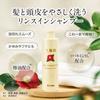 Oshima Tsubaki - Öl-Shampoo