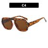 Aviator Single Bridge Sunglasses: 2024 Stylish & Versatile Fashion Accessory