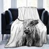 Highland Cow Blanket Natural Western Wildlife Animal Cow Cattle Pattern Landscape All Season Warm Lightweight Blankets for Sofa