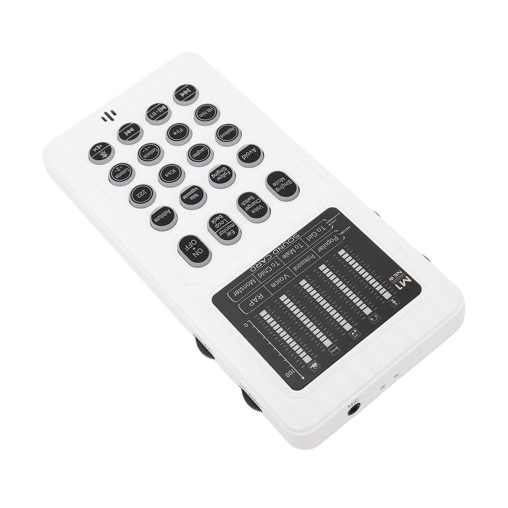 Portable Voice Changer Sound Card Handheld Live Broadcast Voice Disguiser with 8 Voice Effects for PC Phone Laptop