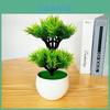Plastic Artificial Green Plant With Double Layer Feathery Foliage For Home Decor And Office Display