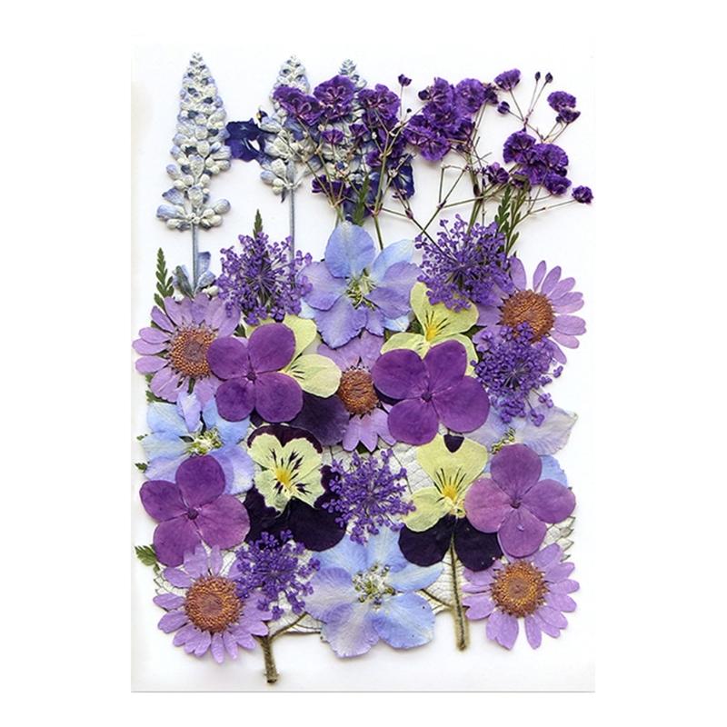 Colorful Real Dry Herbs Set Assorted Dried Flower Bundle Pressed Flower for Creative Scrapbook and Decors