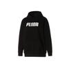 Puma Hoodie 847193