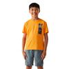 Regatta Childrens/Kids Alvarado IX Cycling T-Shirt