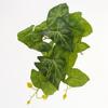 Mini Green Leaves Wall Hanging: Potted Pothos Monstera Planter for Decorative Flower Arrangements and Landscaping
