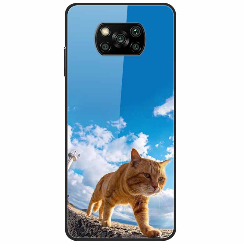 Etui na Poco X3 Pro Modne Urocze Szkło Hartowane Luksusowe Pokrowce Coque dla Xiaomi Poco X3 NFC Etui PocoX3 X 3 Zderzak Ochronny