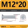 GB819 Zinc-Plated Carbon Steel Phillips Countersunk Screws: M2-M10