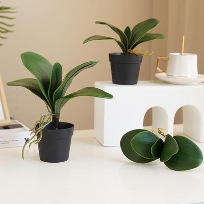 Simulation Phalaenopsis Leaves 1pc Auxiliary Touch Decorative Plants Flowers Artificial DIY Real Flower Leaf Material Spring