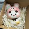 Non-Toxic Bubu Dudu Wool Needle Felting Kit Non-Finished Dolls Diy Felting Set Yier Panda Bear Handmade Diy Gift Animal Felt Crafts