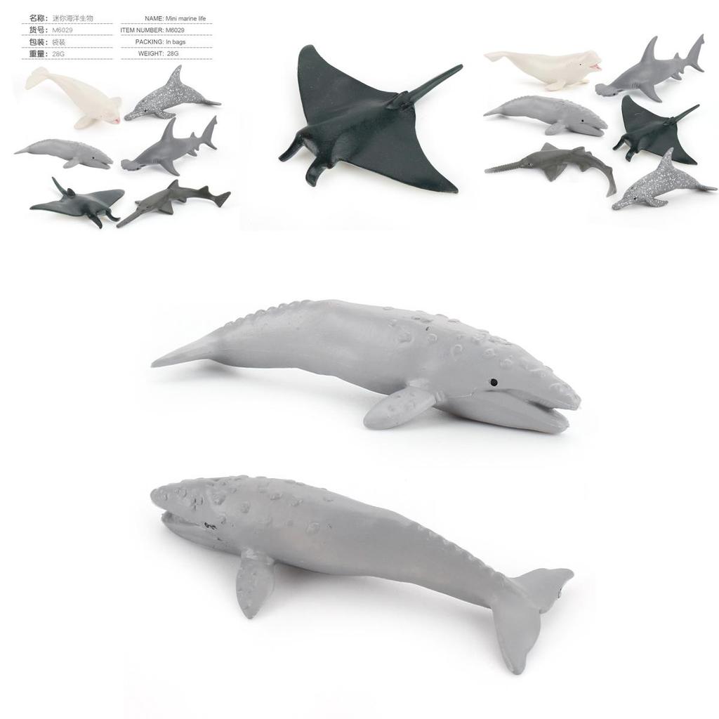 Pvc Ocean Life Dolphin Devil Fish Beluga Shark Realistic Model Collectible Display Figurine